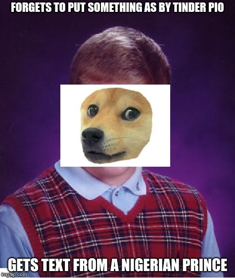 oops | FORGETS TO PUT SOMETHING AS BY TINDER PIO; GETS TEXT FROM A NIGERIAN PRINCE | image tagged in memes,bad luck brian,doge | made w/ Imgflip meme maker