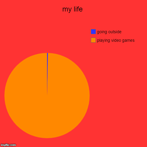 my life | playing video games, going outside | image tagged in funny,pie charts | made w/ Imgflip chart maker