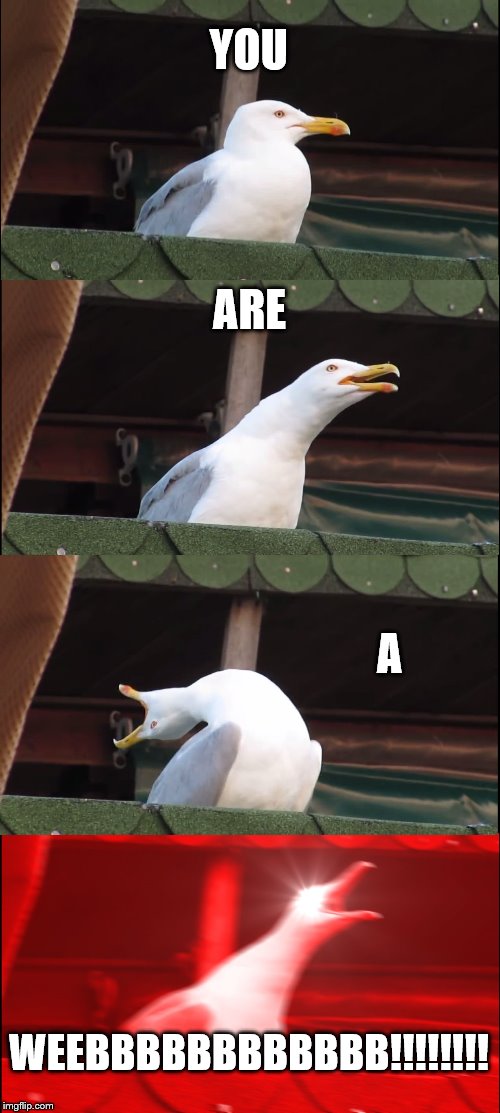 Inhaling Seagull Meme | YOU; ARE; A; WEEBBBBBBBBBBBB!!!!!!!! | image tagged in memes,inhaling seagull | made w/ Imgflip meme maker