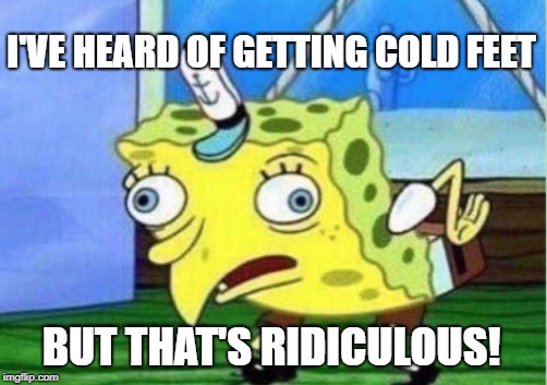 Mocking Spongebob Meme | I'VE HEARD OF GETTING COLD FEET BUT THAT'S RIDICULOUS! | image tagged in memes,mocking spongebob | made w/ Imgflip meme maker
