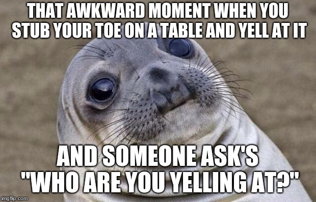 Awkward Moment Sealion | THAT AWKWARD MOMENT WHEN YOU STUB YOUR TOE ON A TABLE AND YELL AT IT; AND SOMEONE ASK'S "WHO ARE YOU YELLING AT?" | image tagged in memes,awkward moment sealion | made w/ Imgflip meme maker