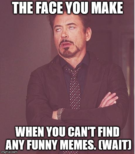 Face You Make Robert Downey Jr Meme | THE FACE YOU MAKE; WHEN YOU CAN'T FIND ANY FUNNY MEMES. (WAIT) | image tagged in memes,face you make robert downey jr | made w/ Imgflip meme maker