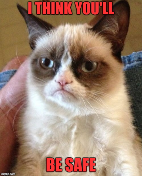 Grumpy Cat Meme | I THINK YOU'LL BE SAFE | image tagged in memes,grumpy cat | made w/ Imgflip meme maker
