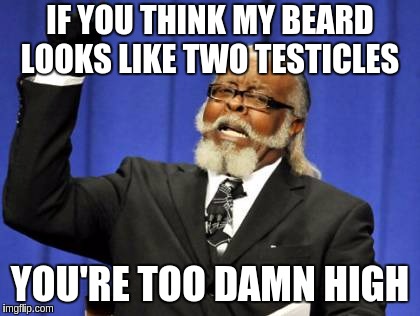 Too Damn High Meme | IF YOU THINK MY BEARD LOOKS LIKE TWO TESTICLES; YOU'RE TOO DAMN HIGH | image tagged in memes,too damn high | made w/ Imgflip meme maker