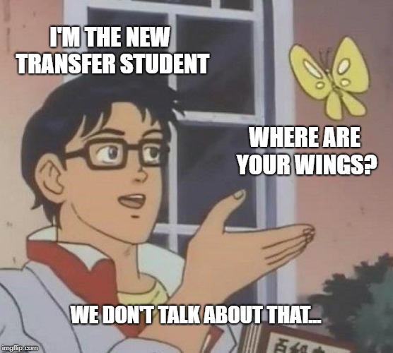 Is This A Pigeon Meme | I'M THE NEW TRANSFER STUDENT; WHERE ARE YOUR WINGS? WE DON'T TALK ABOUT THAT... | image tagged in memes,is this a pigeon | made w/ Imgflip meme maker