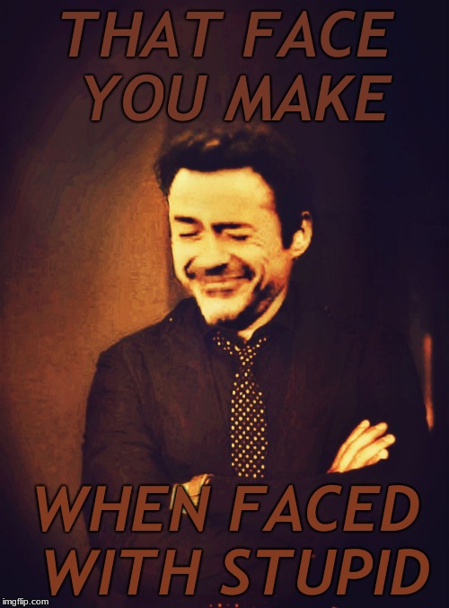 It is as it does.... | THAT FACE YOU MAKE; WHEN FACED WITH STUPID | image tagged in face you make robert downey jr,special kind of stupid,original meme,memestrocity | made w/ Imgflip meme maker