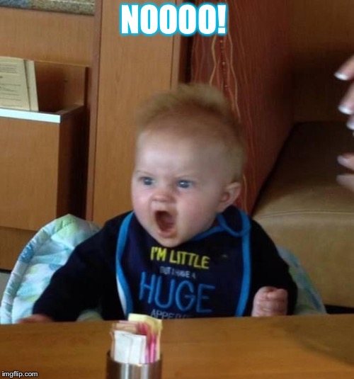 NOOOO! | image tagged in kristine vega | made w/ Imgflip meme maker