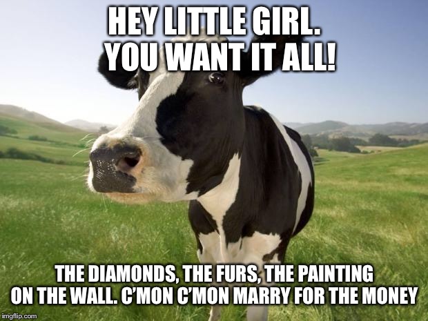 cow | HEY LITTLE GIRL.  YOU WANT IT ALL! THE DIAMONDS, THE FURS, THE PAINTING ON THE WALL.
C’MON C’MON MARRY FOR THE MONEY | image tagged in cow | made w/ Imgflip meme maker