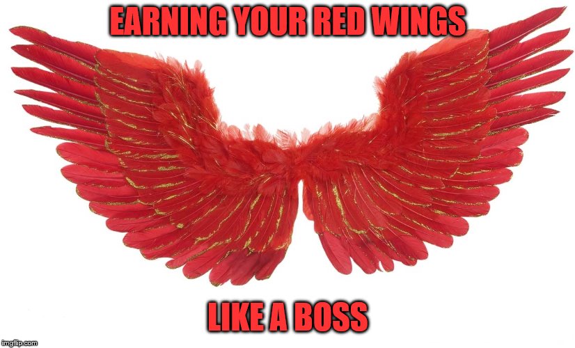 EARNING YOUR RED WINGS LIKE A BOSS | made w/ Imgflip meme maker