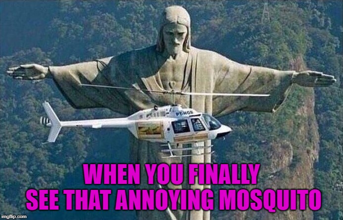 Thank God mosquito season is finally almost over!!! |  WHEN YOU FINALLY SEE THAT ANNOYING MOSQUITO | image tagged in rio,memes,statue,funny,mosquito | made w/ Imgflip meme maker