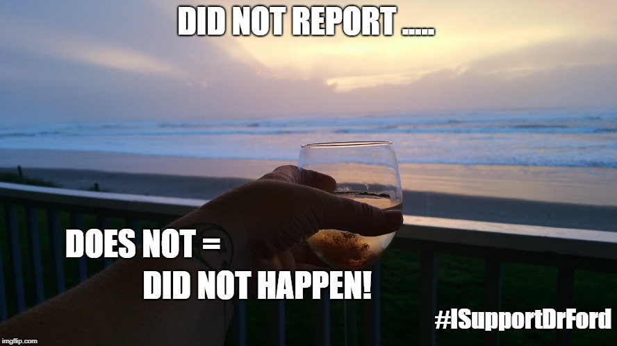 Did not report does not = Did not happen | DID NOT REPORT ..... DOES NOT =; DID NOT HAPPEN! #ISupportDrFord | image tagged in dr ford,brett kavanaugh,why i didn't report | made w/ Imgflip meme maker