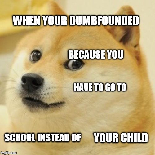 Doge Meme | WHEN YOUR DUMBFOUNDED; BECAUSE YOU; HAVE TO GO TO; SCHOOL INSTEAD OF; YOUR CHILD | image tagged in memes,doge | made w/ Imgflip meme maker