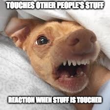 TOUCHES OTHER PEOPLE'S STUFF; REACTION WHEN STUFF IS TOUCHED | made w/ Imgflip meme maker