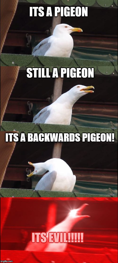 Inhaling Seagull Meme | ITS A PIGEON; STILL A PIGEON; ITS A BACKWARDS PIGEON! ITS EVIL!!!!! | image tagged in memes,inhaling seagull | made w/ Imgflip meme maker