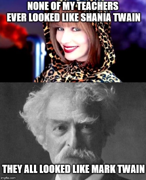 Teachers - Hot or Not | NONE OF MY TEACHERS EVER LOOKED LIKE SHANIA TWAIN; THEY ALL LOOKED LIKE MARK TWAIN | image tagged in memes,teachers | made w/ Imgflip meme maker