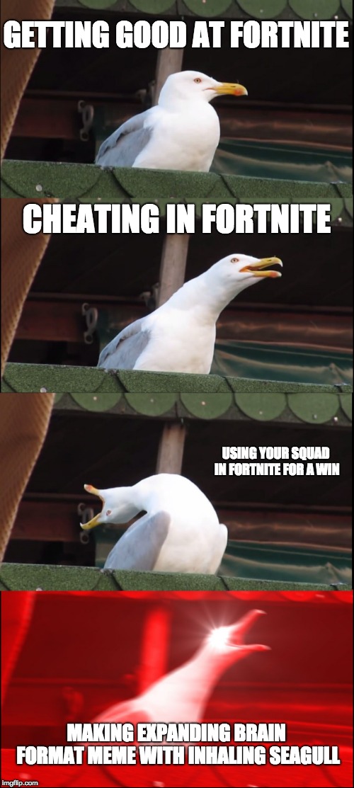 Inhaling Seagull | GETTING GOOD AT FORTNITE; CHEATING IN FORTNITE; USING YOUR SQUAD IN FORTNITE FOR A WIN; MAKING EXPANDING BRAIN FORMAT MEME WITH INHALING SEAGULL | image tagged in memes,inhaling seagull | made w/ Imgflip meme maker