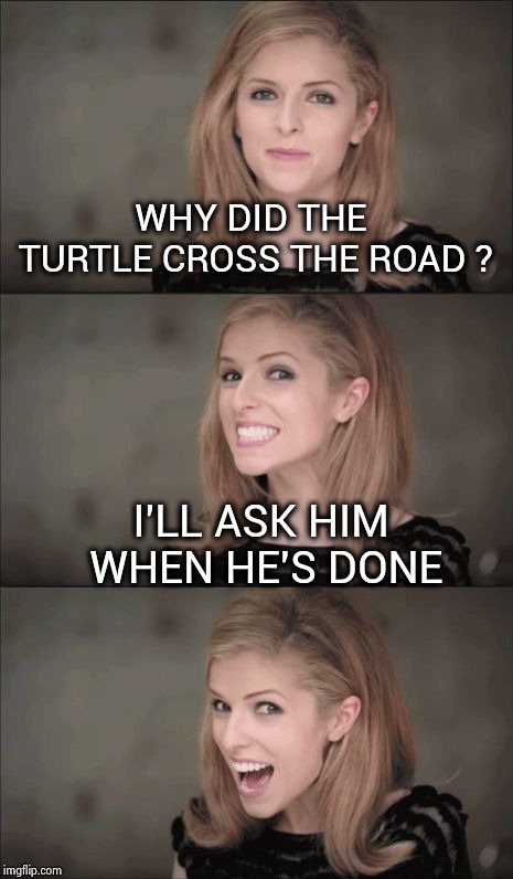 Bad Pun Anna Kendrick Meme | WHY DID THE TURTLE CROSS THE ROAD ? I'LL ASK HIM WHEN HE'S DONE | image tagged in memes,bad pun anna kendrick | made w/ Imgflip meme maker