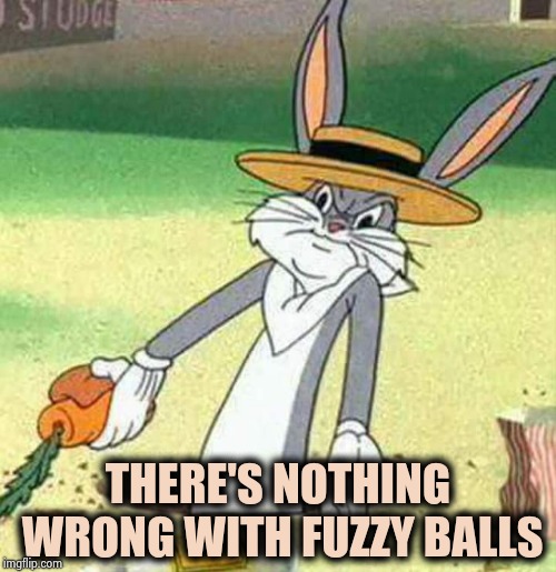 Bugs Bunny  | THERE'S NOTHING WRONG WITH FUZZY BALLS | image tagged in bugs bunny | made w/ Imgflip meme maker