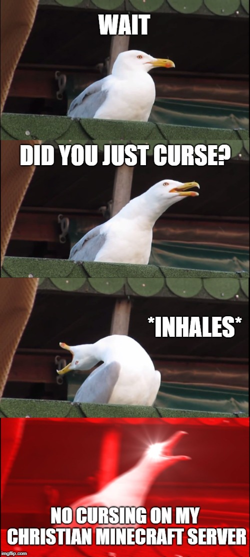 Inhaling Seagull | WAIT; DID YOU JUST CURSE? *INHALES*; NO CURSING ON MY CHRISTIAN MINECRAFT SERVER | image tagged in memes,inhaling seagull | made w/ Imgflip meme maker