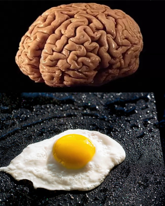 This is your brain Blank Meme Template