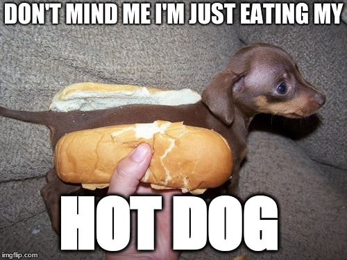 dogs | DON'T MIND ME I'M JUST EATING MY; HOT DOG | image tagged in funny | made w/ Imgflip meme maker