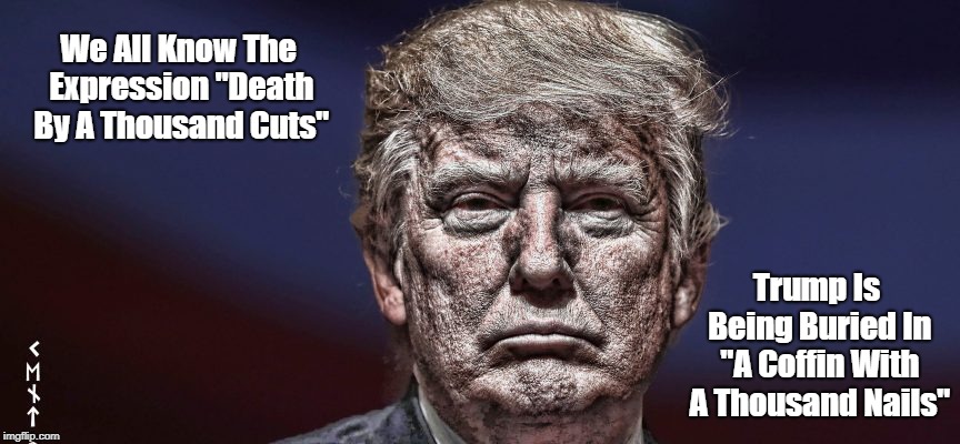 We All Know The Expression "Death By A Thousand Cuts" Trump Is Being Buried In "A Coffin With A Thousand Nails" | made w/ Imgflip meme maker