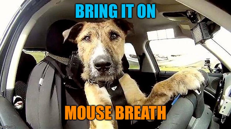 BRING IT ON MOUSE BREATH | made w/ Imgflip meme maker