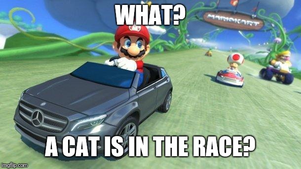 mario kart 8 | WHAT? A CAT IS IN THE RACE? | image tagged in mario kart 8 | made w/ Imgflip meme maker