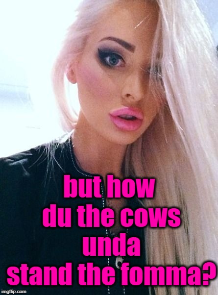 shrug | but how du the cows unda stand the fomma? | image tagged in shrug | made w/ Imgflip meme maker