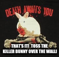 THAT'S IT!  TOSS THE KILLER BUNNY OVER THE WALL! | made w/ Imgflip meme maker