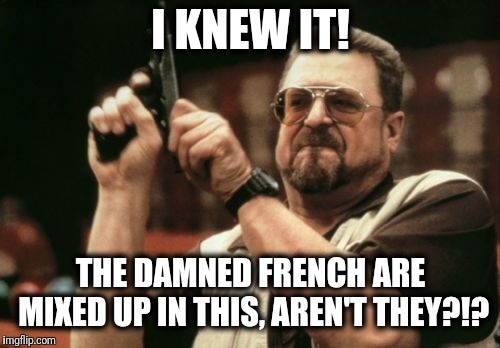 Am I The Only One Around Here Meme | I KNEW IT! THE DAMNED FRENCH ARE MIXED UP IN THIS, AREN'T THEY?!? | image tagged in memes,am i the only one around here | made w/ Imgflip meme maker