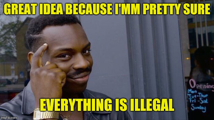 Roll Safe Think About It Meme | GREAT IDEA BECAUSE I'MM PRETTY SURE EVERYTHING IS ILLEGAL | image tagged in memes,roll safe think about it | made w/ Imgflip meme maker