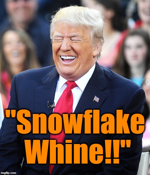 trump laughing | "Snowflake Whine!!" | image tagged in trump laughing | made w/ Imgflip meme maker