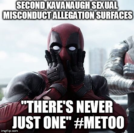 Deadpool Surprised | SECOND KAVANAUGH SEXUAL MISCONDUCT ALLEGATION SURFACES; "THERE'S NEVER JUST ONE" #METOO | image tagged in memes,deadpool surprised | made w/ Imgflip meme maker