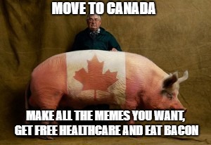 MOVE TO CANADA MAKE ALL THE MEMES YOU WANT, GET FREE HEALTHCARE AND EAT BACON | made w/ Imgflip meme maker