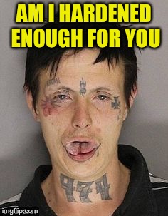 AM I HARDENED ENOUGH FOR YOU | made w/ Imgflip meme maker