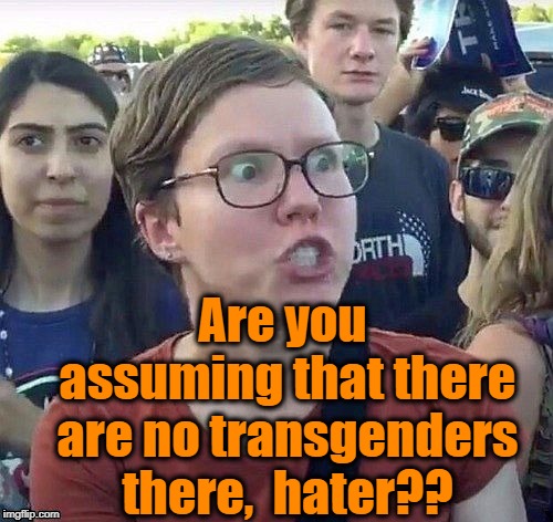 foggy | Are you assuming that there are no transgenders there,  hater?? | image tagged in triggered feminist | made w/ Imgflip meme maker