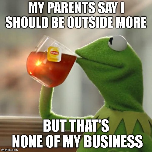 But That's None Of My Business | MY PARENTS SAY I SHOULD BE OUTSIDE MORE; BUT THAT'S NONE OF MY BUSINESS | image tagged in memes,but thats none of my business,kermit the frog,outside | made w/ Imgflip meme maker