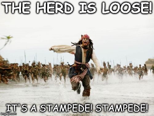 Jack Sparrow Being Chased Meme | THE HERD IS LOOSE! IT'S A STAMPEDE! STAMPEDE! | image tagged in memes,jack sparrow being chased | made w/ Imgflip meme maker