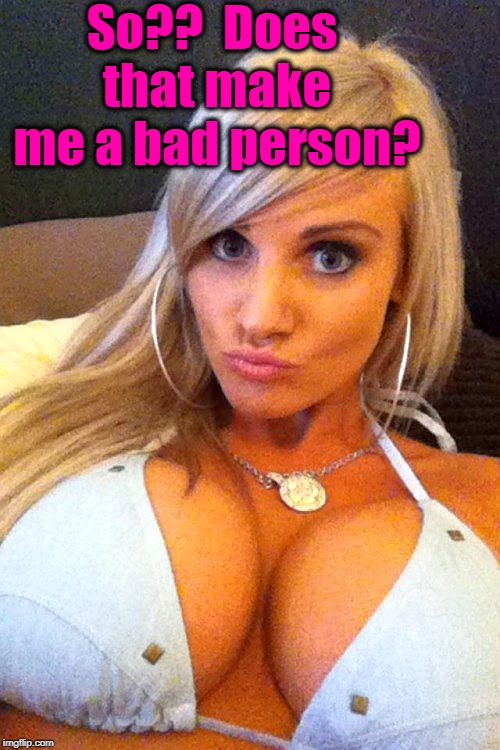 So??  Does that make me a bad person? | image tagged in cleavage | made w/ Imgflip meme maker