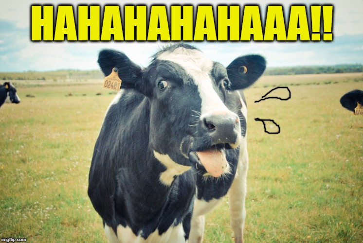 HAHAHAHAHAAA!! | made w/ Imgflip meme maker