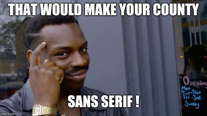 Roll Safe Think About It Meme | THAT WOULD MAKE YOUR COUNTY SANS SERIF ! | image tagged in memes,roll safe think about it | made w/ Imgflip meme maker