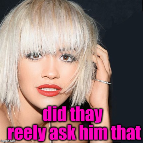 ditz | did thay reely ask him that | image tagged in ditz | made w/ Imgflip meme maker