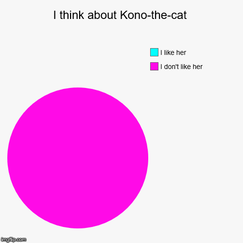 I think about Kono-the-cat | I don't like her, I like her | image tagged in funny,pie charts | made w/ Imgflip chart maker
