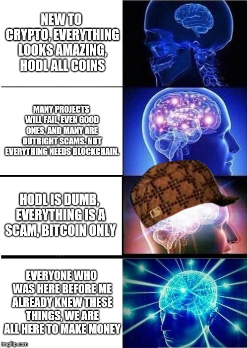 Expanding Brain Meme | NEW TO CRYPTO, EVERYTHING LOOKS AMAZING, HODL ALL COINS; MANY PROJECTS WILL FAIL, EVEN GOOD ONES, AND MANY ARE OUTRIGHT SCAMS. NOT EVERYTHING NEEDS BLOCKCHAIN. HODL IS DUMB, EVERYTHING IS A SCAM, BITCOIN ONLY; EVERYONE WHO WAS HERE BEFORE ME ALREADY KNEW THESE THINGS, WE ARE ALL HERE TO MAKE MONEY | image tagged in memes,expanding brain,scumbag | made w/ Imgflip meme maker