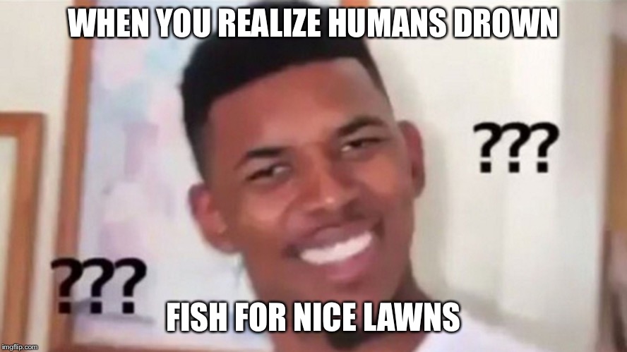 eutrophication meme | WHEN YOU REALIZE HUMANS DROWN; FISH FOR NICE LAWNS | image tagged in science,meme | made w/ Imgflip meme maker