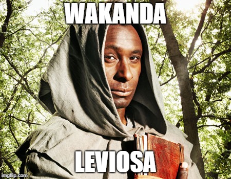 Wakanda Leviosa | WAKANDA; LEVIOSA | image tagged in black magic,leviosa,wakanda,black,panther,marvel | made w/ Imgflip meme maker