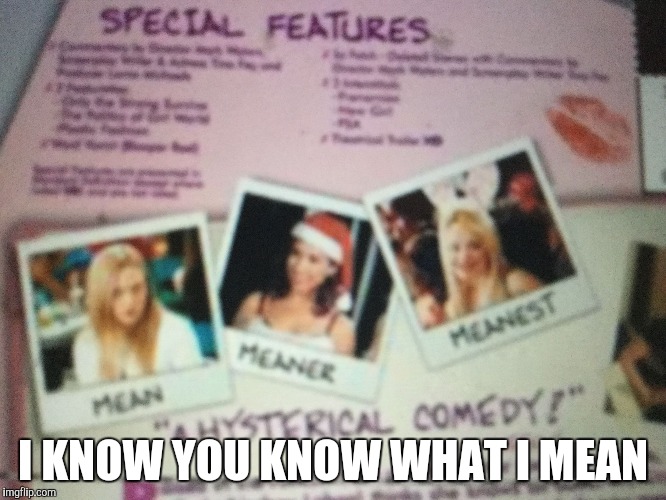 I KNOW YOU KNOW WHAT I MEAN | image tagged in mean meaner meanest | made w/ Imgflip meme maker