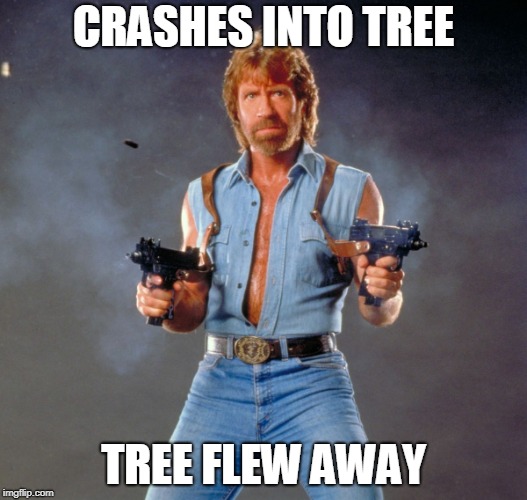Chuck Norris Guns Meme | CRASHES INTO TREE; TREE FLEW AWAY | image tagged in memes,chuck norris guns,chuck norris | made w/ Imgflip meme maker