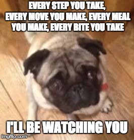 EVERY STEP YOU TAKE, EVERY MOVE YOU MAKE, EVERY MEAL YOU MAKE, EVERY BITE YOU TAKE; I'LL BE WATCHING YOU | image tagged in begging pug | made w/ Imgflip meme maker